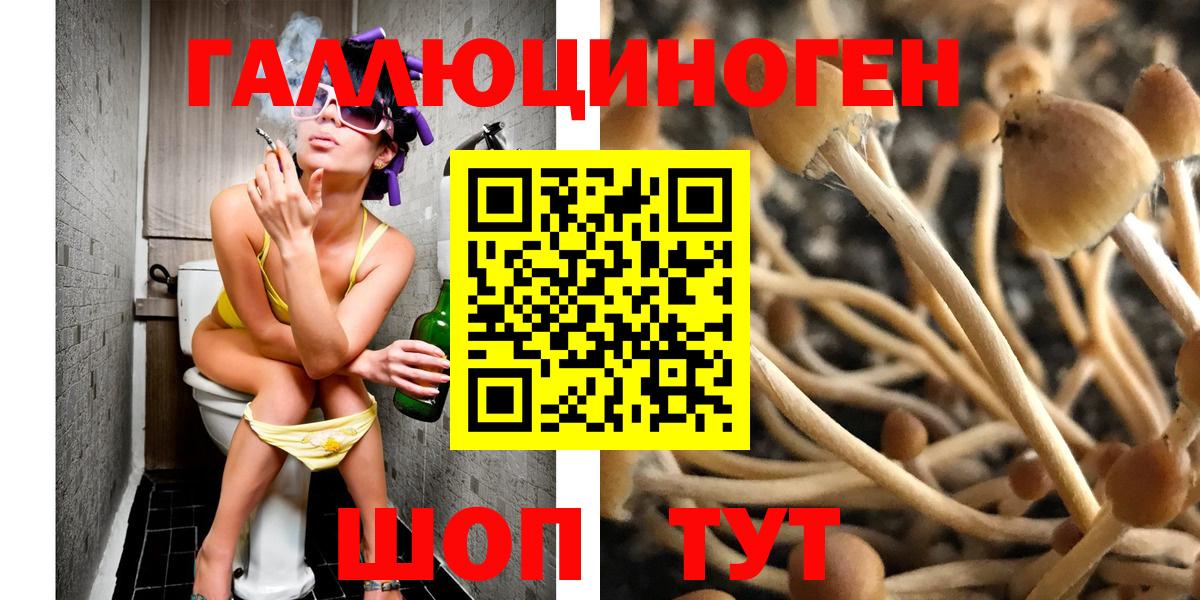 Псилоцибиновые грибы ЛСД Алушта