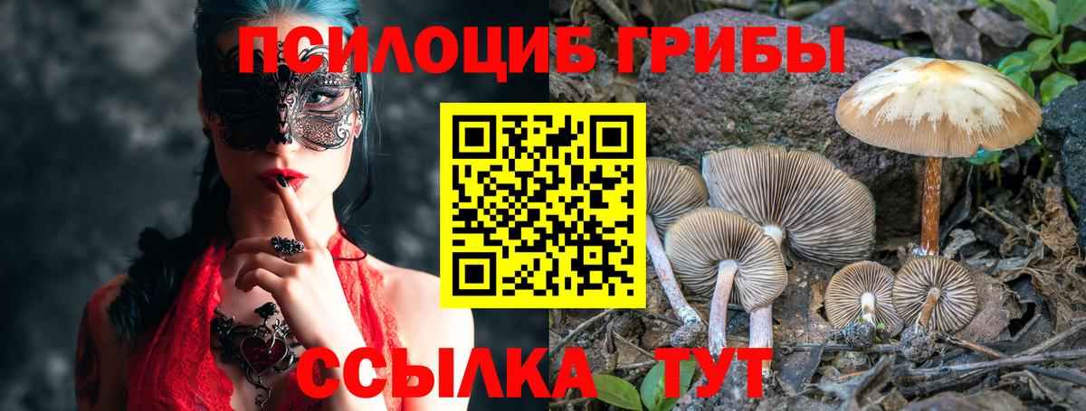 Алушта  Галлюциногенные грибы MAGIC MUSHROOMS  Вход с VPN 